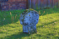 2022-10-22-16-57-16-mnerenz