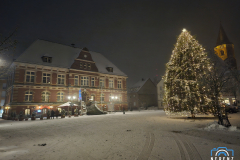 20231129_165742_klein