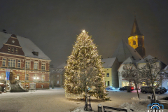 20231129_170410_klein