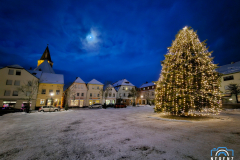 20231130_065459b_klein