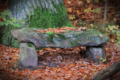 2023-11-12-14-38-25-mnerenz-2