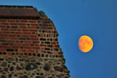 2023-09-26-19-03-49_mnerenz-4