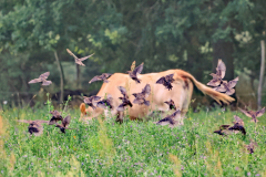 2023-08-07-18-02-12_mnerenz-2