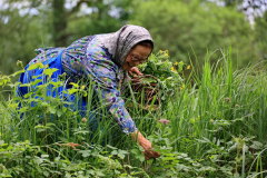 2023-05-15-15-31-22_mnerenz-2