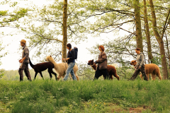 2023-05-15-16-10-00_mnerenz-2